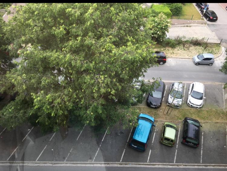 Bedinreims "Burgundy Bottle" 110M2 Exceptional, 4 Chambres Doubles, 2 Bain, Free Park & Wifi, Tout Equipe ภายนอก รูปภาพ